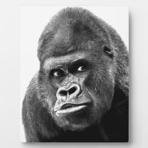 Black White Gorilla Plaque