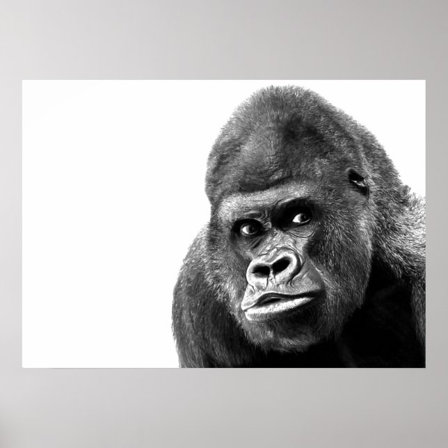 Black White Gorilla Poster (Front)