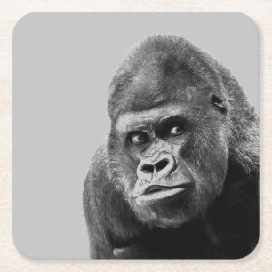 Black White Gorilla Square Paper Coaster