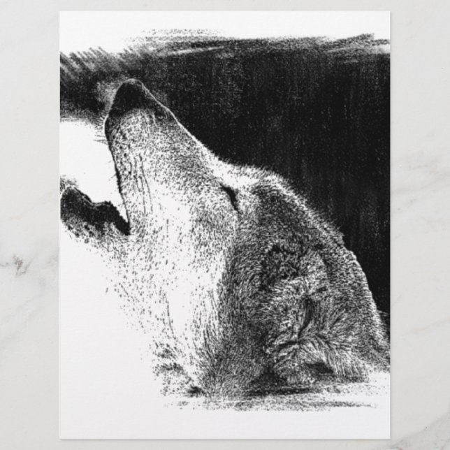 Black & White Grey Wolf Sketch Artwork (Front)