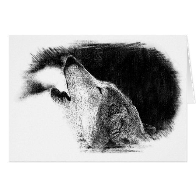 Black & White Grey Wolf Sketch Artwork (Front Horizontal)