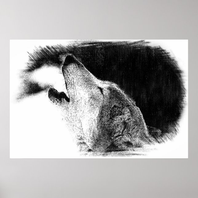 Black & White Grey Wolf Sketch Artwork Poster (Front)