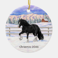 Black & White Gypsy Vanner Tinker Draft Horse