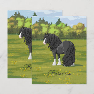 Black & White Gypsy Vanner Tinker Draught Horse