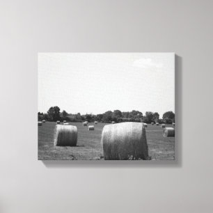 Black & White Hay Rolls Scattered on a Farm 11x14 Canvas Print