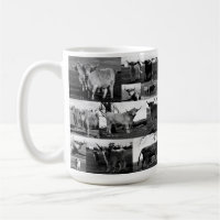 Black White Highland Cow Photography, Mug