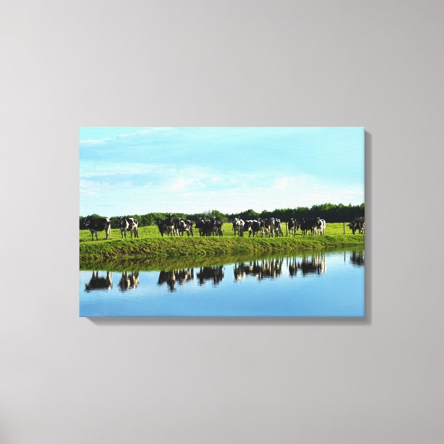 Black, White Holstein Cows in the Pasture Canvas Print (Front)