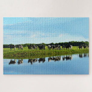 Black, White Holstein Cows in the Pasture Jigsaw Puzzle