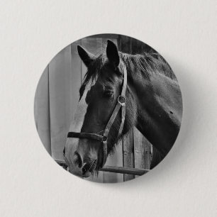 Black White Horse - Animal Photography Art 6 Cm Round Badge