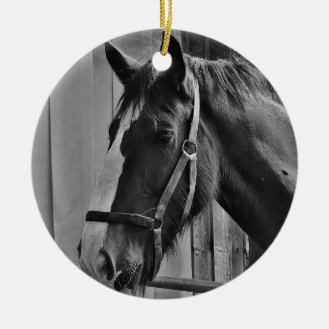 Black White Horse - Animal Photography Art Ceramic Tree Decoration (Front)