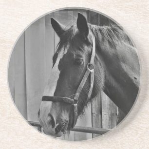 Black White Horse - Animal Photography Art Coaster