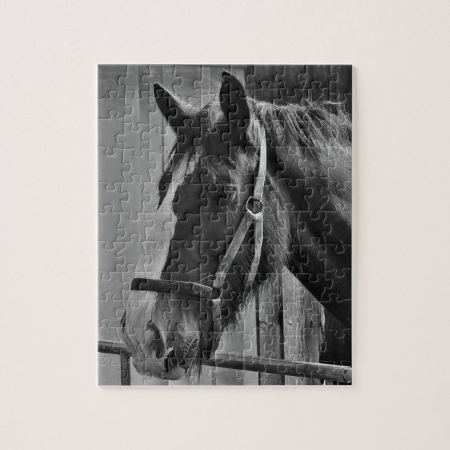 Black White Horse - Animal Photography Art Jigsaw Puzzle (Vertical)