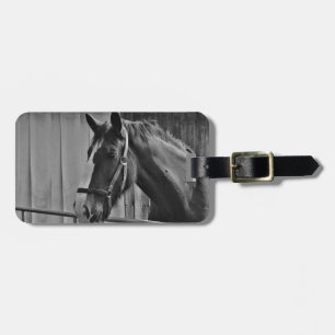 Black White Horse - Animal Photography Art Luggage Tag