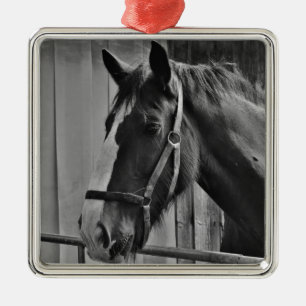 Black White Horse - Animal Photography Art Metal Tree Decoration
