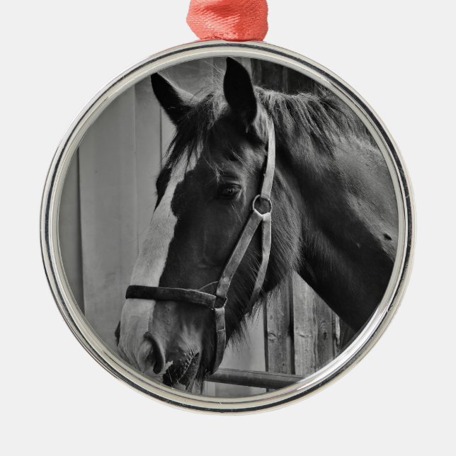 Black White Horse - Animal Photography Art Metal Tree Decoration (Front)