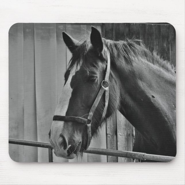 Black White Horse - Animal Photography Art Mouse Mat (Front)