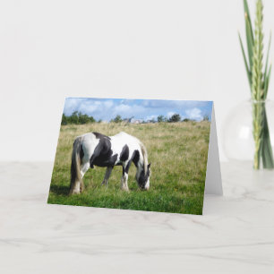 Black & White Horse Blank Greeting Card