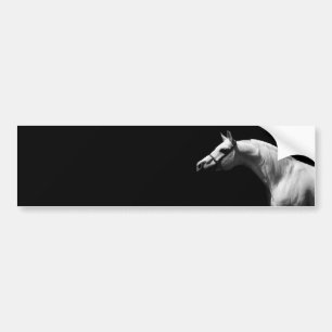 Black & White Horse Bumper Sticker