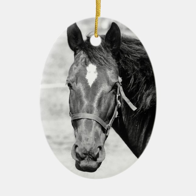Black White Horse Ceramic Tree Decoration (Front)