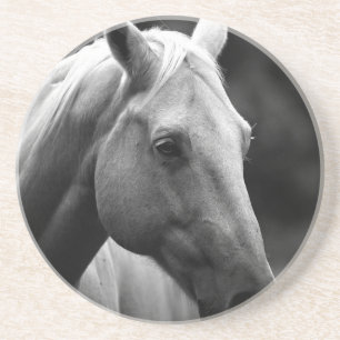 Black White Horse Coaster
