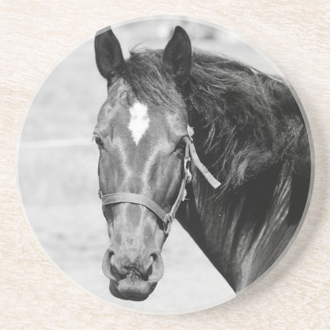 Black White Horse Coaster (Front)