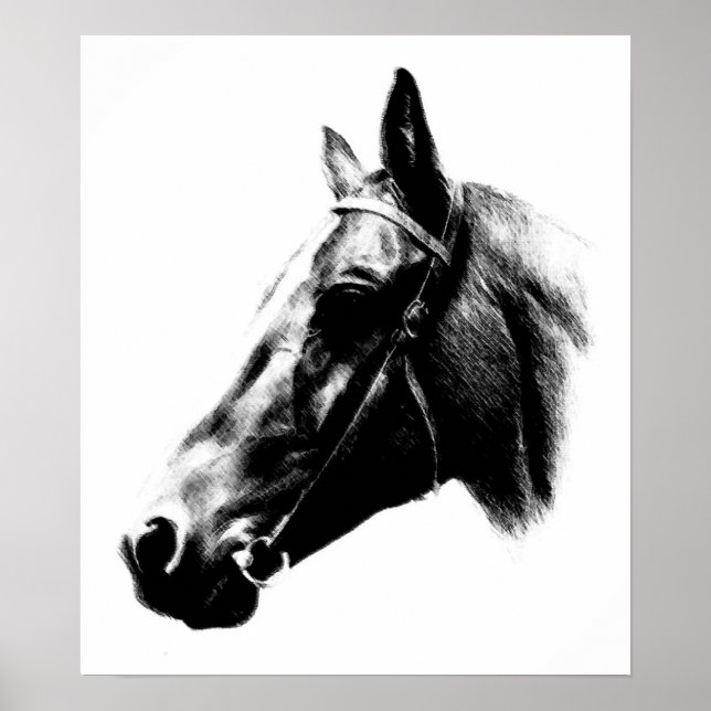 Black White Horse Drawing Artwork Poster (Front)