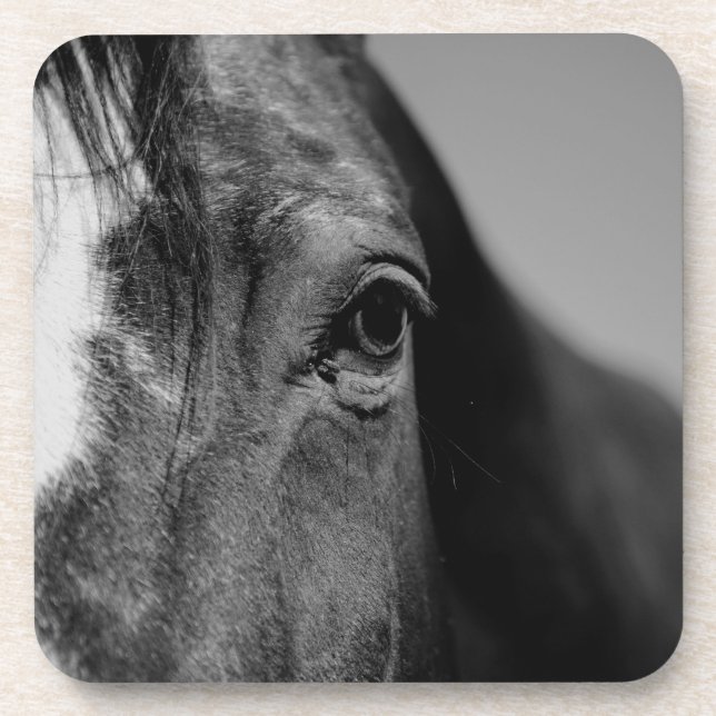 Black White Horse Eye Artwork Coaster (Front)