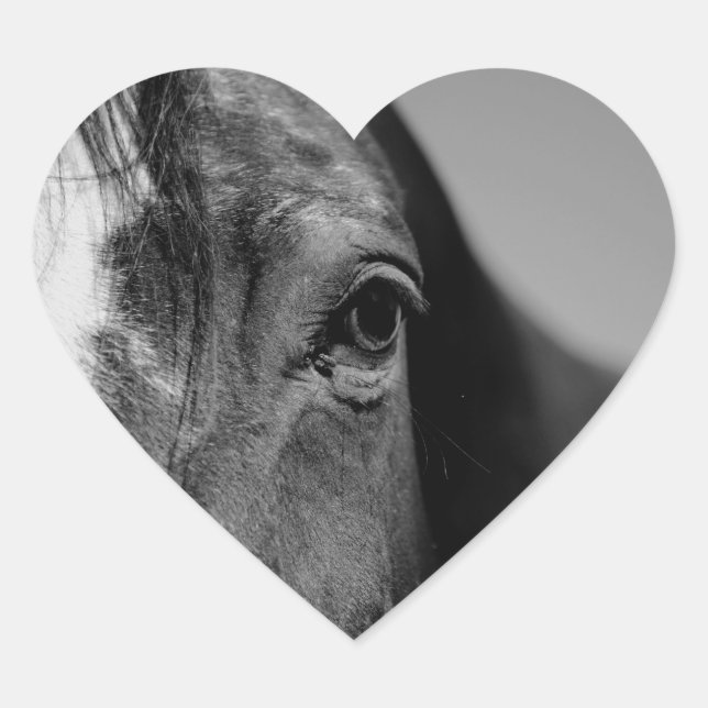 Black White Horse Eye Artwork Heart Sticker (Front)