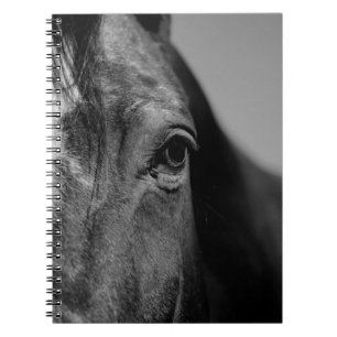 Black White Horse Eye Artwork Notebook
