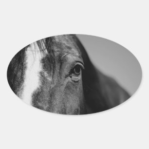 Black White Horse Eye Artwork Oval Sticker