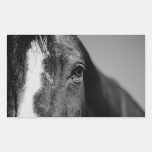 Black White Horse Eye Artwork Rectangular Sticker