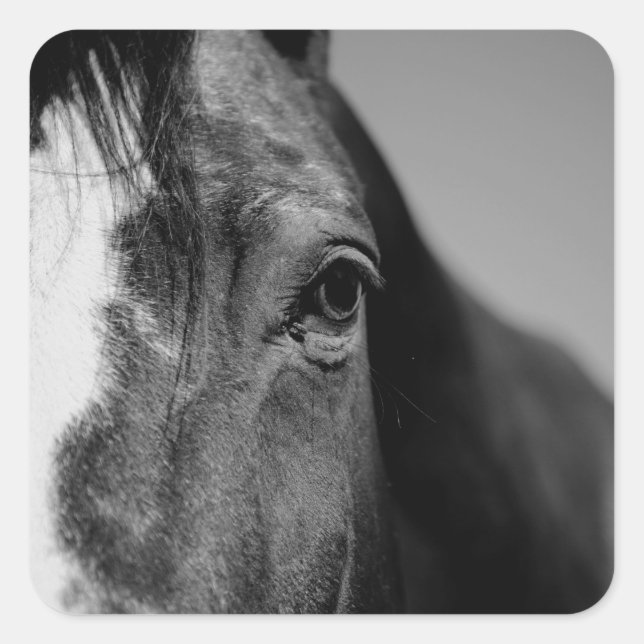Black White Horse Eye Artwork Square Sticker (Front)