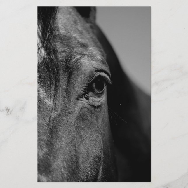 Black White Horse Eye Artwork Stationery (Front)