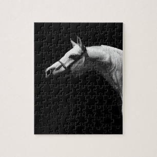 Black & White Horse Jigsaw Puzzle