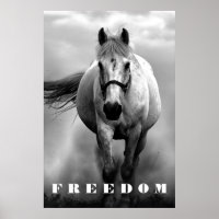 Black White Horse Motivational Freedom Artwork