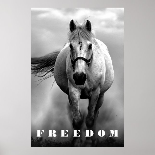 Black White Horse Motivational Freedom Artwork Poster (Front)