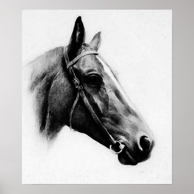 Black White Horse Pencil Drawing Artwork Poster (Front)