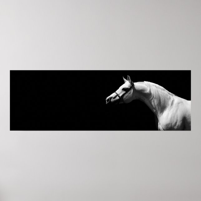 Black & White Horse Poster (Front)
