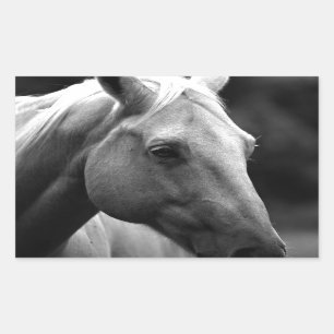 Black White Horse Rectangular Sticker