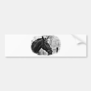 Black White Horse Sketch Bumper Sticker