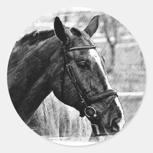 Black White Horse Sketch Classic Round Sticker (Front)