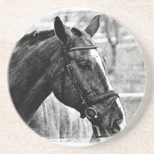 Black White Horse Sketch Coaster