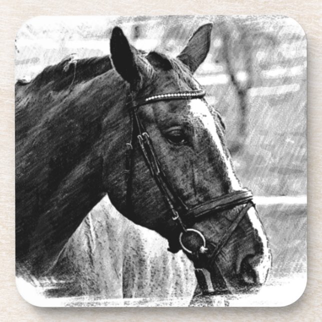 Black White Horse Sketch Coaster (Front)