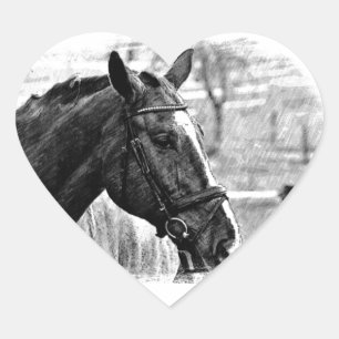 Black White Horse Sketch Heart Sticker