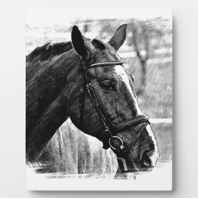 Black White Horse Sketch Plaque (Front)
