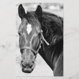 Black White Horse Stationery