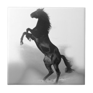 Black White Horse Tile