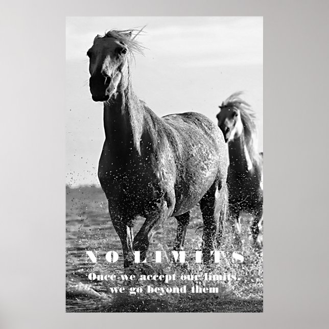Black White Horses Motivational No Limits Artwork Poster (Front)