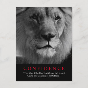 Black White Inspirational Confidence Lion Postcard
