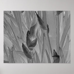 Black White Iris Flowers Original Art Poster